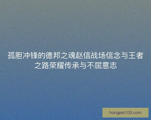 孤胆冲锋的德邦之魂赵信战场信念与王者之路荣耀传承与不屈意志